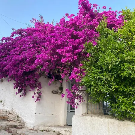 Villa Antiklea Vathy (Ithaca)