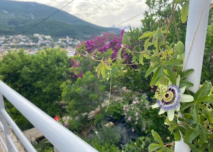 Antiklea Vathy (Ithaca)